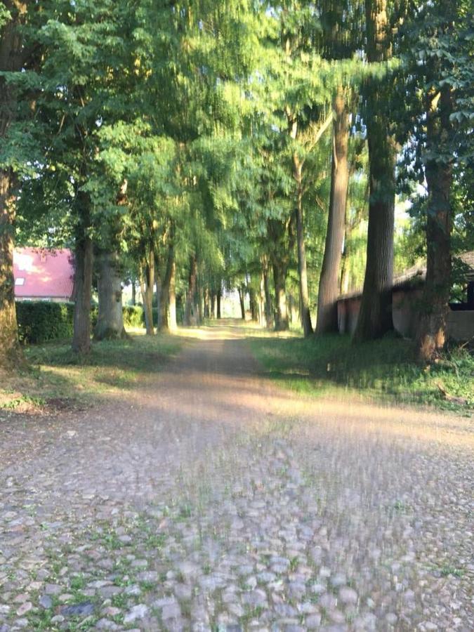 Bequemschlafen Villa Heidenau  Exterior foto